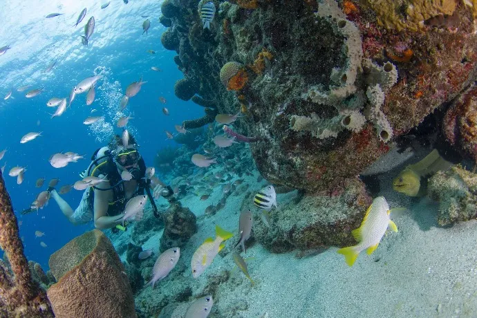 Dive excursion, Curaçao
