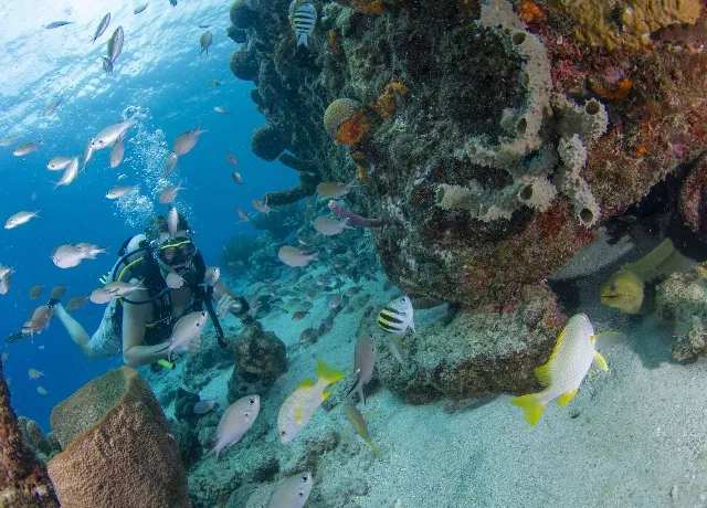 Dive excursion
