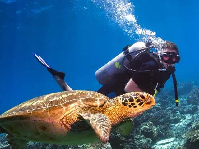 Epsilon Diving Courses