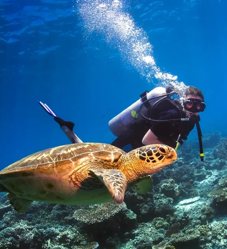 Epsilon Diving Courses, Curaçao