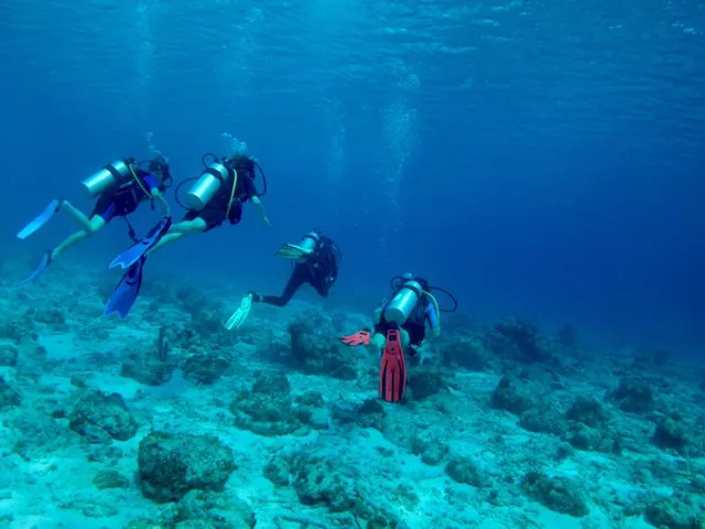 Rediho Elvin's and Plane Wreck dive