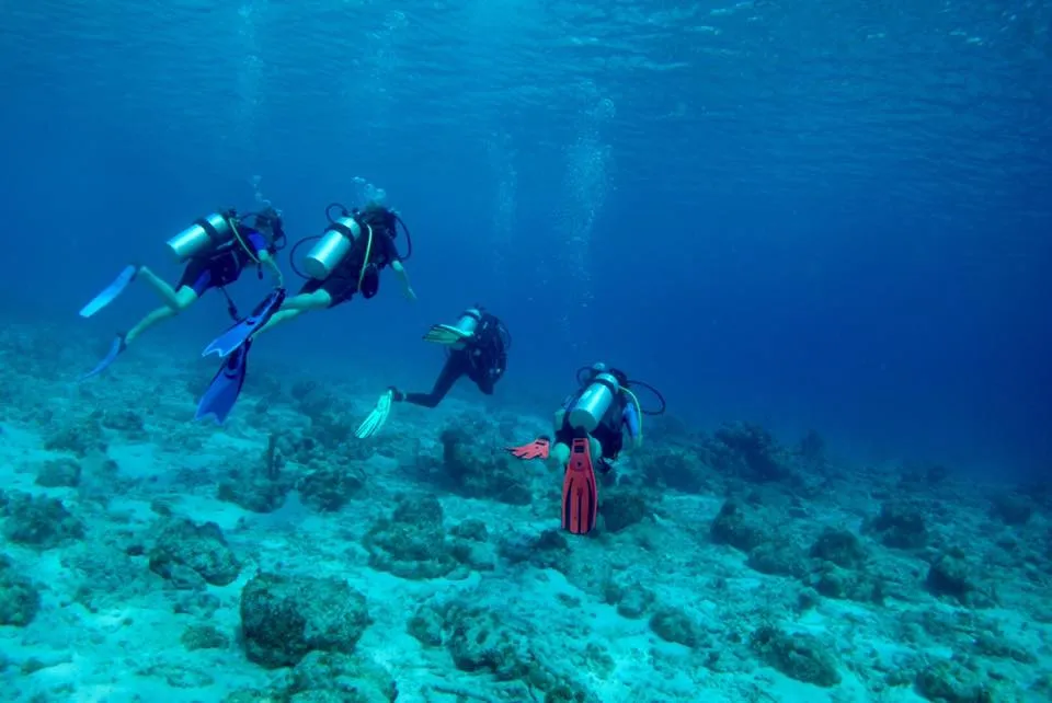 Rediho Elvin's and Plane Wreck dive, Curaçao
