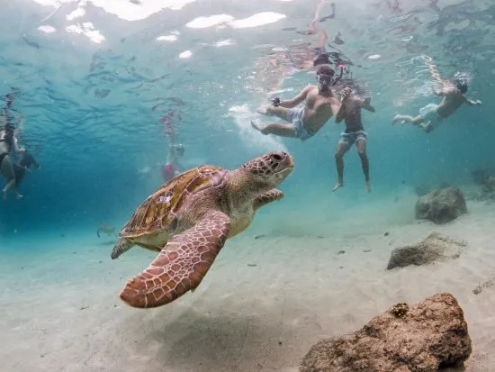 Playa Grandi, Curaçao