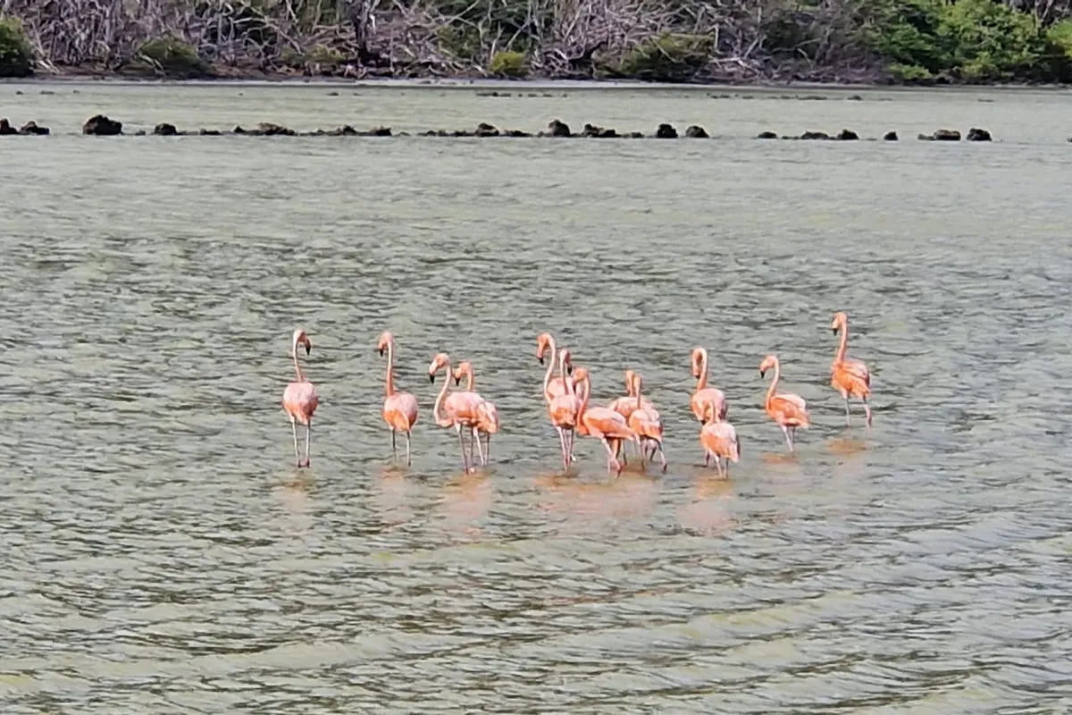 Hiking tours, Curaçao