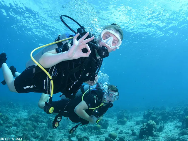Double tank guided dive trip
