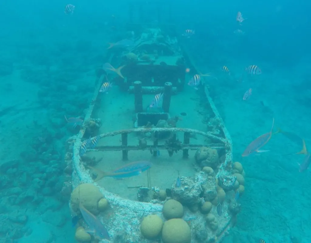 Tugboat snorkle, Curaçao