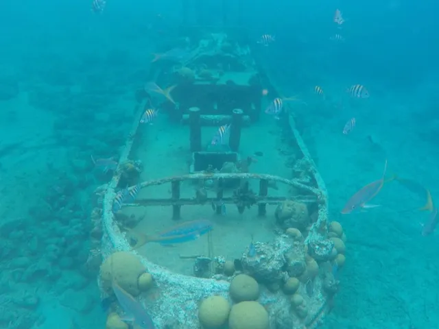 Tugboat snorkle